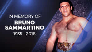 Bruno Sammartino 在致敬照片中佩戴冠軍腰帶。 — 摔角 壁紙