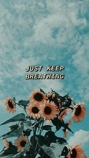向日葵在陰雲密布的青色天空下，帶有文字 just keep breathing。
