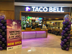 Taco Bell餐廳入口，設有紫色和黑色氣球柱及現已開業標誌。 — 塔可 壁紙