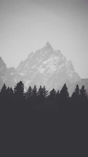 白雪覆蓋的山峰在單色調的黑暗森林剪影上方升起。 — 極簡 iPhone 壁紙