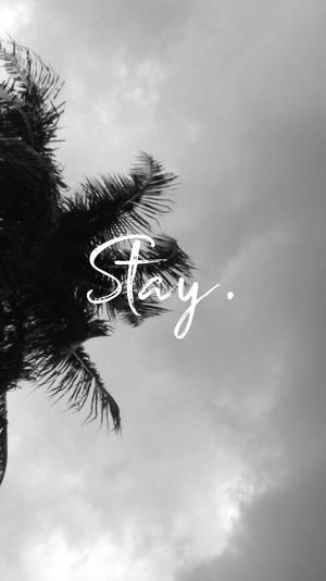 棕櫚樹剪影，帶有「Stay.」文字，背景多雲的天空 — 深色霓虹 iPhone 壁紙