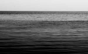 黑白海浪在蒼白天空下與平靜的地平線相遇。 — 2880x1800 壁紙