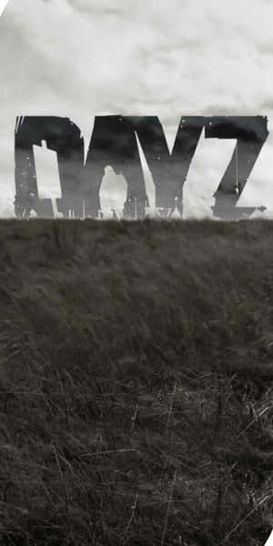 陰雲天空下帶有「DAYZ」標誌的草野 — 電玩遊戲 GIF 壁紙