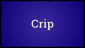 粗體白色文字顯示 'Crip' 在純藍色背景上。