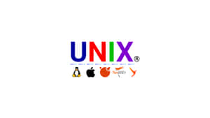 UNIX 標誌，下方有 Linux、Apple、FreeBSD、NetBSD 標誌，背景為白色 — Valorant電腦壁紙
