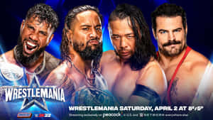 四位WWE摔角手手持冠軍腰帶，為WrestleMania活動宣傳擺姿勢。 — 摔角 壁紙