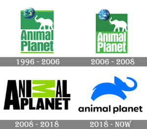 Animal Planet標誌從1996年至今的演變，以四個版本展示。 — 野生動物 壁紙