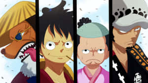 四個來自《One Piece》的堅定動漫角色垂直排列。 — 混沌武士 壁紙