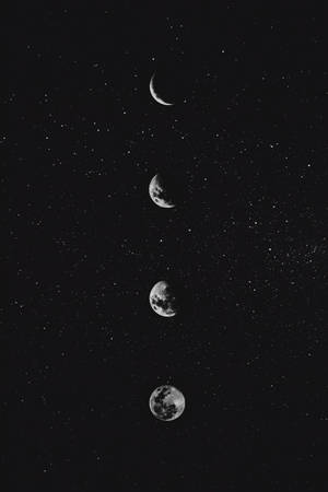 四個月亮相位在垂直線上，背景為星空。 — 月光 壁紙