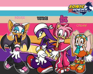 四個穿著賽車裝備的Sonic Riders角色與遊戲標誌一起擺姿勢。 — 蝙蝠車 壁紙