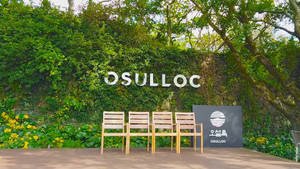 四張木椅排列在覆蓋綠色常春藤的牆前，帶有 OSULLOC 品牌標誌。 — 東京喰種風格 壁紙