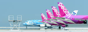 四架色彩繽紛的桃子航空飛機停放在潮濕機場停機坪上，帶有金屬樓梯。 — 伸展台 壁紙