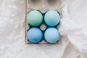 四顆藍色雞蛋在紙板托盤中，置於皺巴巴的白紙上。 — 中性 壁紙