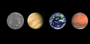 四顆行星水星、金星、地球和火星在太空中顯示。 — 迪士尼 布魯托 壁紙