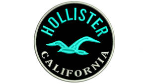 Hollister California 標誌貼片，帶有藍綠色海鷗和銀色邊框。 — Hollister 壁紙