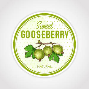 圓形標籤，展示帶有綠色鵝莓的樹枝，文字為 sweet gooseberry natural。 — 花朵 壁紙