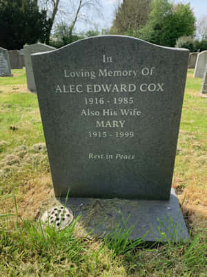 在長滿草的墓園裡，為Alec Edward Cox和他的妻子Mary設立的墓碑，在日光下。 — Kindle Paperwhite 壁紙