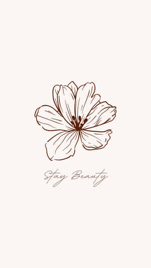 一朵簡單的棕色線條畫花，下方有「Stay Beauty」字樣。 — 美學動漫手機 壁紙
