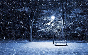 夜晚，積雪覆蓋了公園長椅，下方是明亮的街燈。 — 冬季 壁紙