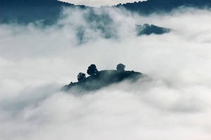 霧氣繚繞的山峰，樹木從雲海中浮現。 — 黎明 壁紙