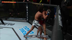 兩名MMA拳手在UFC比賽期間於籠邊圍欄附近纏鬥。 — 終極格鬥冠軍賽 壁紙