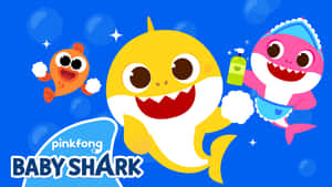 鯊魚寶寶和一條魚在水下玩肥皂泡。 — 鯊魚 壁紙