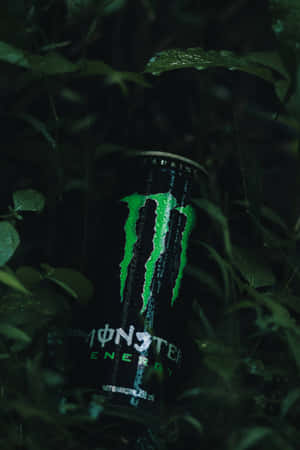 夜晚藏在潮濕深色樹葉中的Monster Energy罐 — Oppo Pad 壁紙