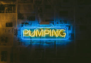 一個發光的霓虹燈牌，上面寫著pumping，掛在鋪滿報紙剪報的牆前面。 — 報紙 壁紙