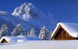 在晴朗的藍天下，被常青樹環繞的積雪山間小屋。 — 冬季房屋 壁紙