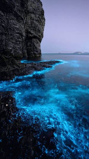 生物發光波浪在暮色中對著黑暗懸崖發出藍色光芒。