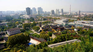 現代城市中樹木環繞的傳統寺廟 — 唐人街 壁紙