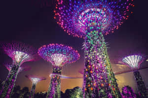 未來主義城市公園中夜間發光的人造樹木。 — 波浪 壁紙