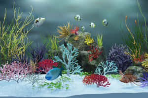 色彩繽紛的珊瑚礁，熱帶魚在生機勃勃的海草之間游來游去。 — 水族箱 壁紙