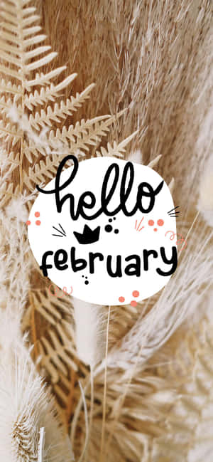 Hello February 文字在一個白色圓圈內，周圍環繞著乾燥蕨類和蒲葦。 — Galaxy A36 壁紙