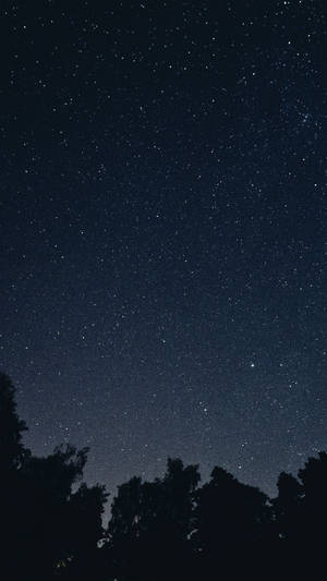 星空夜空下的黑暗樹木輪廓。 — 晚安 壁紙