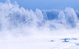 在藍色天空下，雪覆蓋的地面上升起薄霧的結霜冬日森林。 — 冬季風景 壁紙