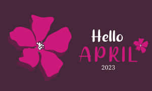 2023年4月問候，紫色背景上帶有洋紅色花朵。 — 四月 壁紙