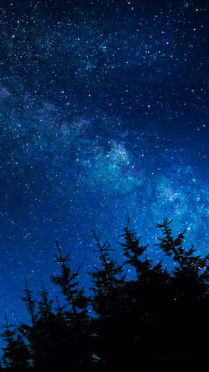在充滿活力的星空下，松樹的剪影，銀河系清晰可見。 — 冬季美學 壁紙