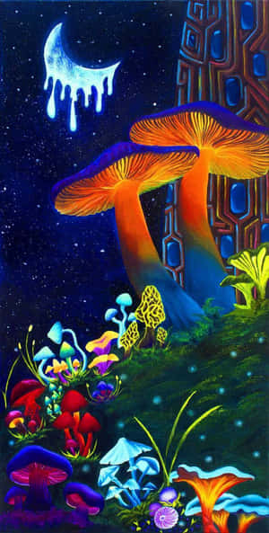 在滴水的月亮下，魔法森林夜晚中的發光蘑菇。