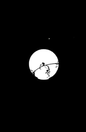 在漆黑的天空中，月光映照下的樹枝剪影，有一顆星星可見。 — Infinix Xpad GT 壁紙