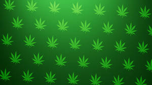 漸變綠色背景上的綠色大麻葉圖案。 — 迷幻 壁紙