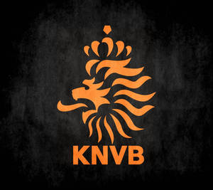 帶有皇冠和KNVB文字的橙色獅子標誌，置於深色紋理背景上。 — 標誌 壁紙