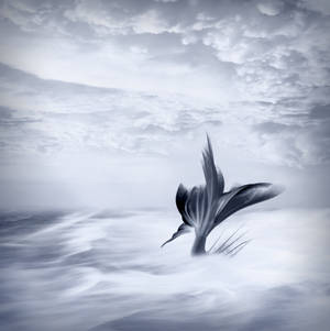 超現實人魚尾巴從海浪中升起，天空多雲 — 美人魚 壁紙