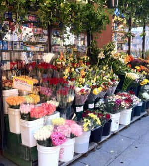 城市花店外水桶裡色彩繽紛的花束。 — Vivo X Fold 壁紙