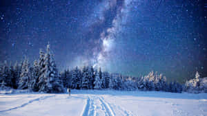 繁星夜空下的積雪森林，銀河與足跡。 — 冬季風景 壁紙