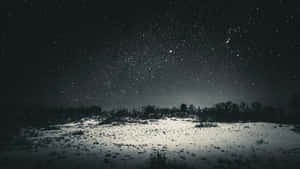 星空下帶有樹木剪影的雪地 — 暮光 壁紙