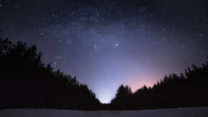 星空下帶有極光輝映的雪地森林 — 美麗的夜晚 壁紙