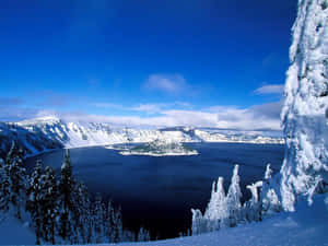 在明亮的藍天下，被常綠樹環繞的積雪山湖。 — 冬季風景 壁紙