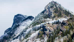 灰色天空下，積雪的山峰、結霜的樹木和岩石露頭。 — 雪山 壁紙