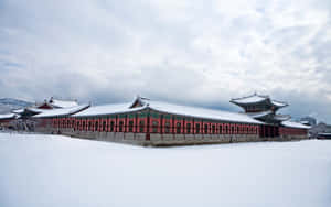 雪覆蓋的韓國宮殿，紅牆瓦頂，陰天。 — 冬季風景 壁紙